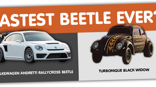 What's The Fastest Beetle Ever?